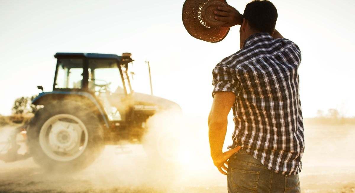 Read more about the article Castilla y León desembolsa 15,8 millones de euros en ayudas para favorecer la incorporación de jóvenes, la modernización y la sucesión en explotaciones agrarias